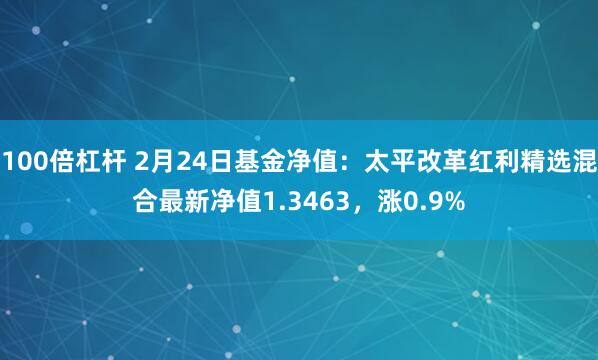 100倍杠杆 2月24日基金净值：太平改革红利精选混合最新净值1.3463，涨0.9%