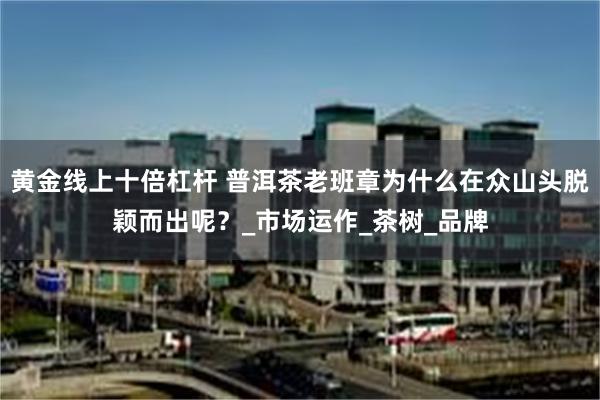 黄金线上十倍杠杆 普洱茶老班章为什么在众山头脱颖而出呢？_市场运作_茶树_品牌